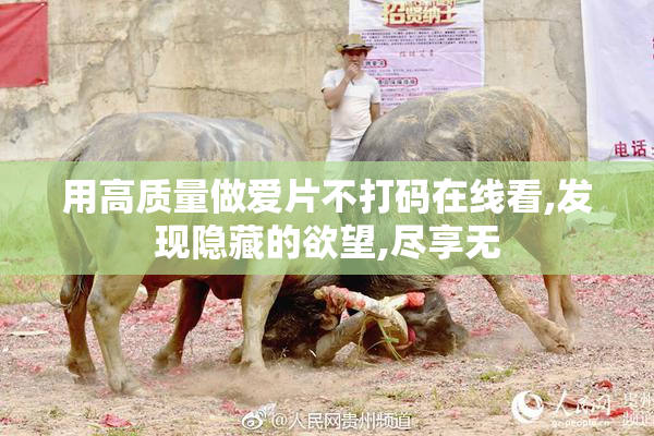 用高质量做爱片不打码在线看,发现隐藏的欲望,尽享无
