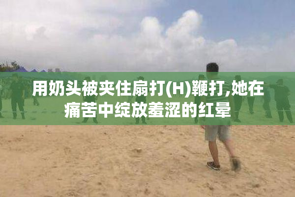 用奶头被夹住扇打(H)鞭打,她在痛苦中绽放羞涩的红晕