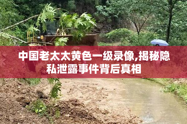 中国老太太黄色一级录像,揭秘隐私泄露事件背后真相