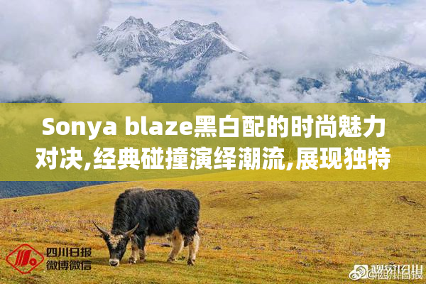 Sonya blaze黑白配的时尚魅力对决,经典碰撞演绎潮流,展现独特个性