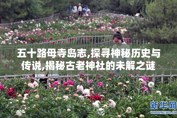 五十路母寺岛志,探寻神秘历史与传说,揭秘古老神社的未解之谜