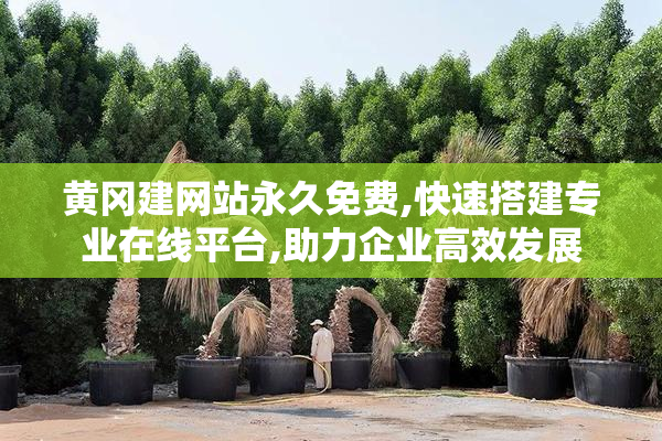 黄冈建网站永久免费,快速搭建专业在线平台,助力企业高效发展