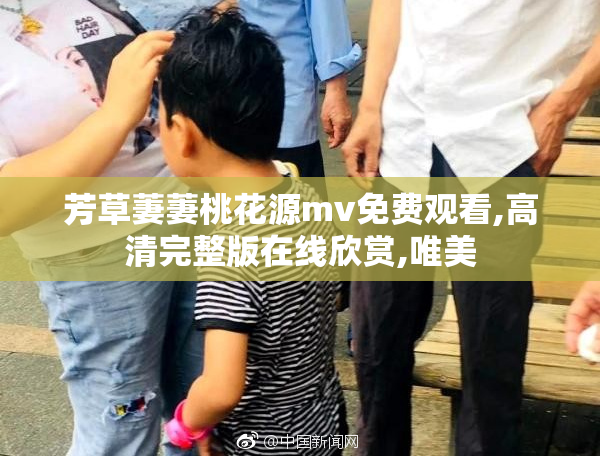 芳草萋萋桃花源mv免费观看,高清完整版在线欣赏,唯美