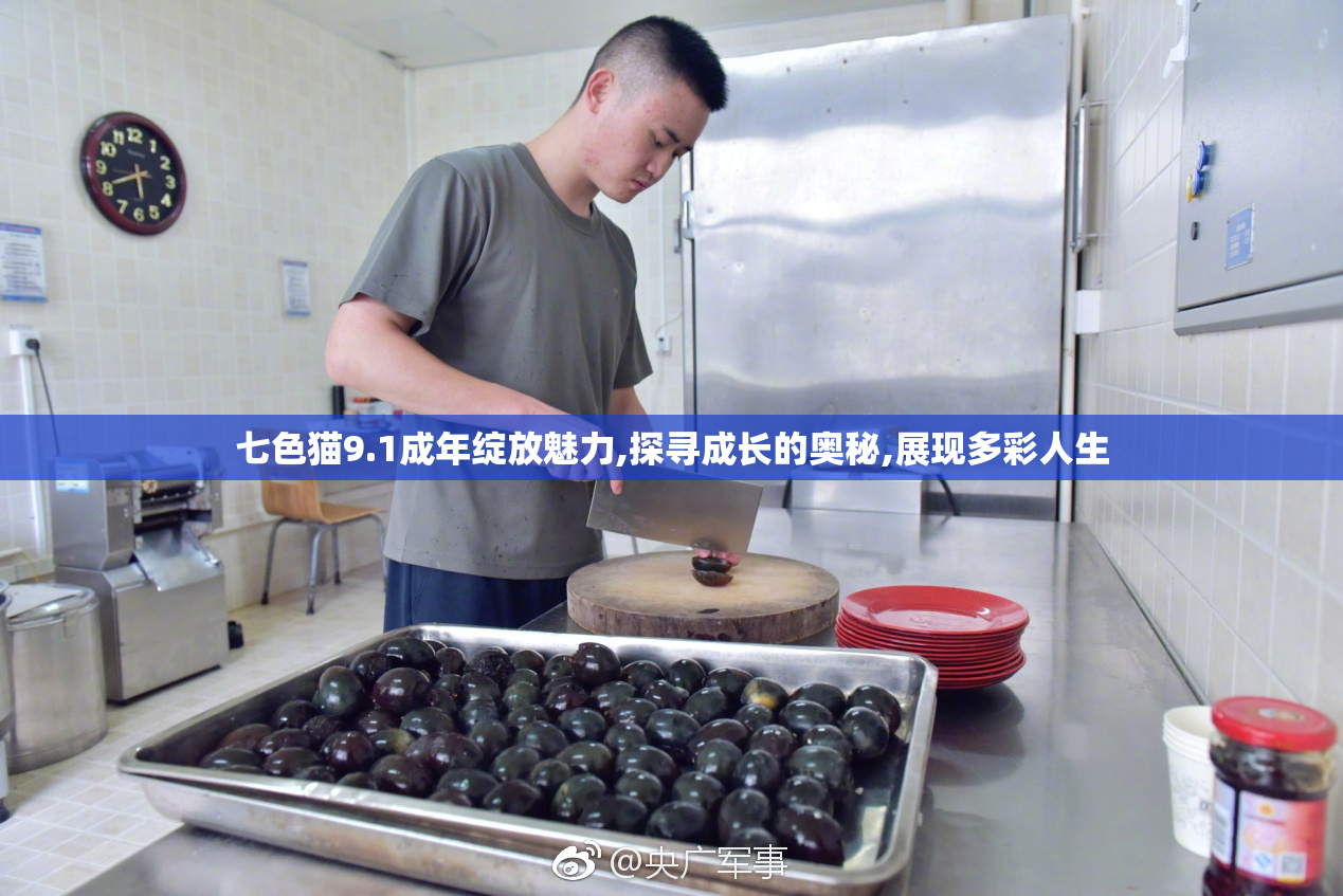 七色猫9.1成年绽放魅力,探寻成长的奥秘,展现多彩人生