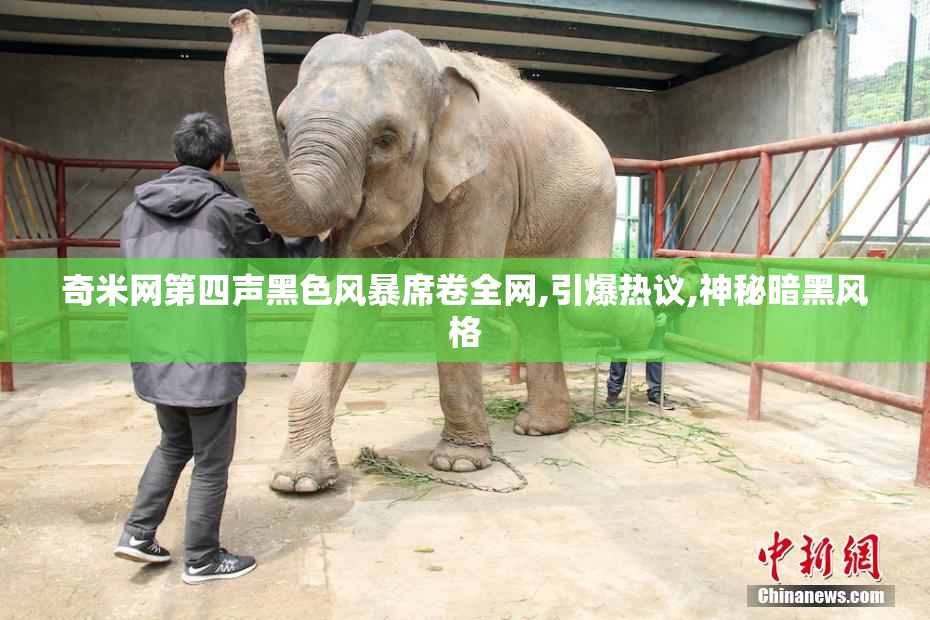 奇米网第四声黑色风暴席卷全网,引爆热议,神秘暗黑风格