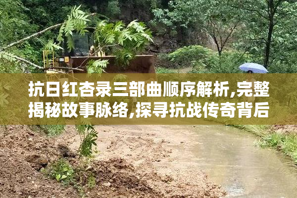 抗日红杏录三部曲顺序解析,完整揭秘故事脉络,探寻抗战传奇背后的