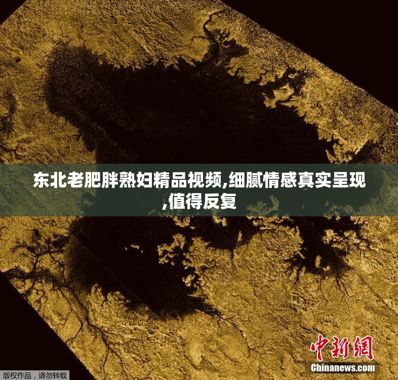 东北老肥胖熟妇精品视频,细腻情感真实呈现,值得反复