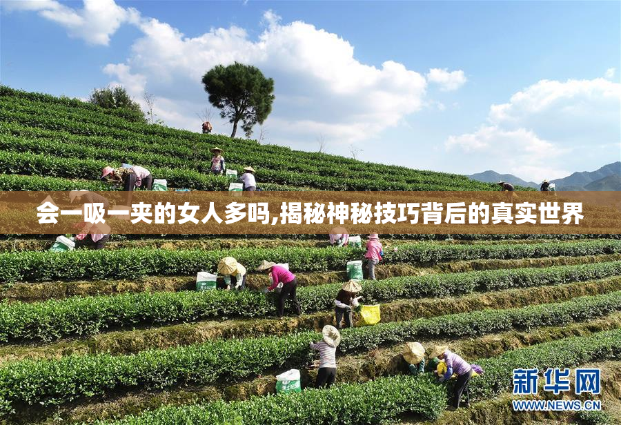 会一吸一夹的女人多吗,揭秘神秘技巧背后的真实世界