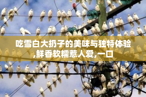 吃雪白大扔子的美味与独特体验,鲜香软糯惹人爱,一口