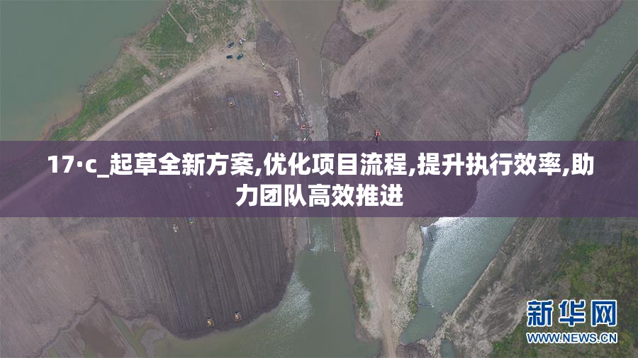 17·c_起草全新方案,优化项目流程,提升执行效率,助力团队高效推进