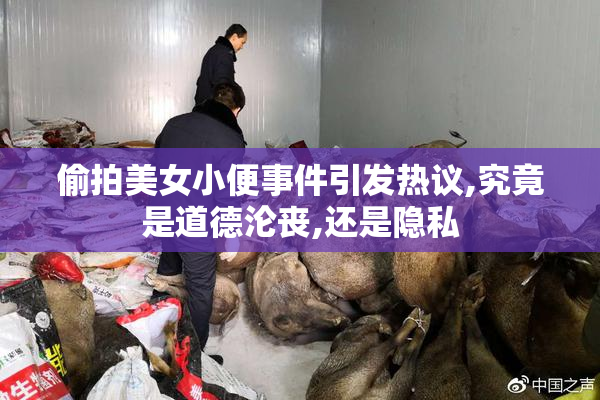 偷拍美女小便事件引发热议,究竟是道德沦丧,还是隐私