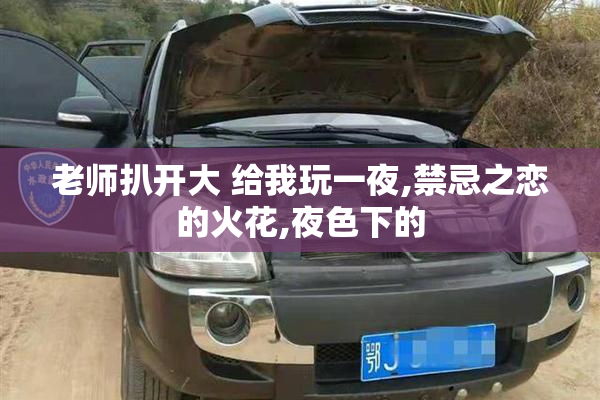 老师扒开大 给我玩一夜,禁忌之恋的火花,夜色下的
