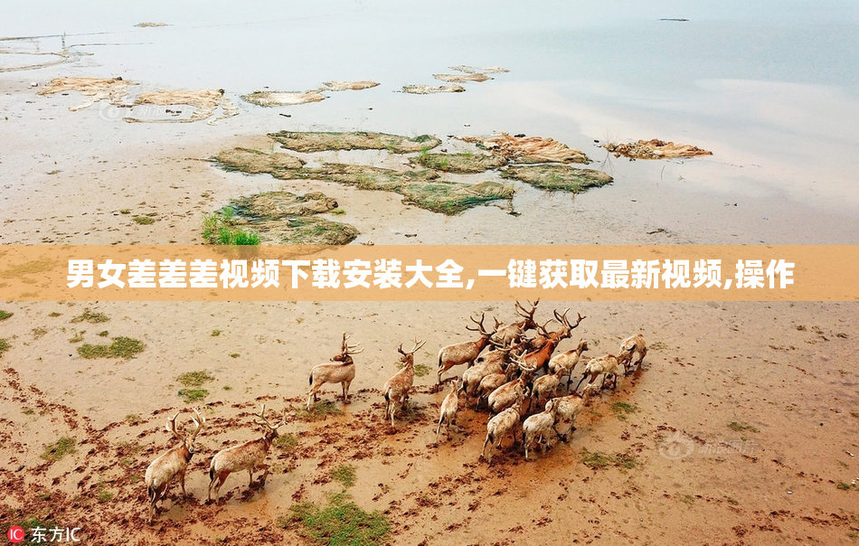 男女差差差视频下载安装大全,一键获取最新视频,操作
