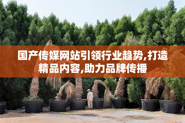 国产传媒网站引领行业趋势,打造精品内容,助力品牌传播