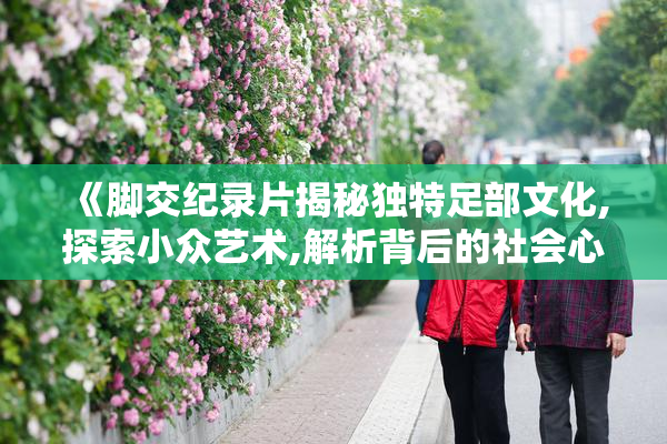 《脚交纪录片揭秘独特足部文化,探索小众艺术,解析背后的社会心理
