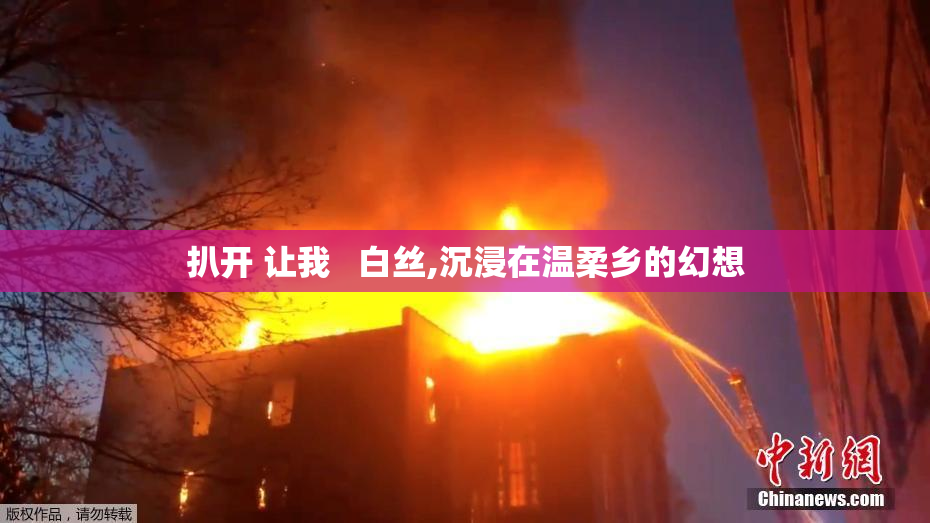 扒开 让我   白丝,沉浸在温柔乡的幻想
