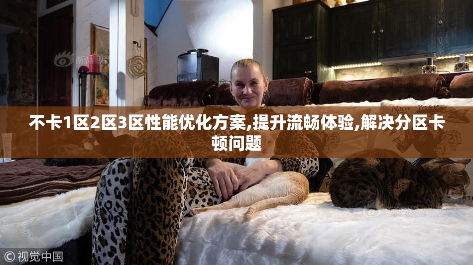 不卡1区2区3区性能优化方案,提升流畅体验,解决分区卡顿问题