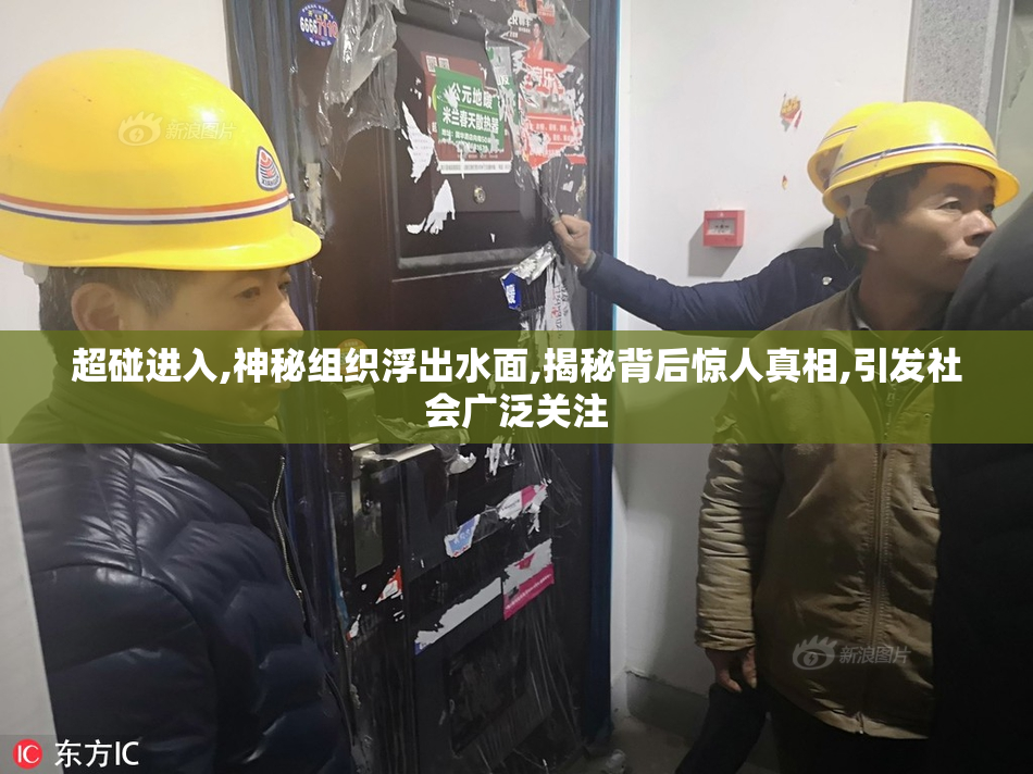 超碰进入,神秘组织浮出水面,揭秘背后惊人真相,引发社会广泛关注