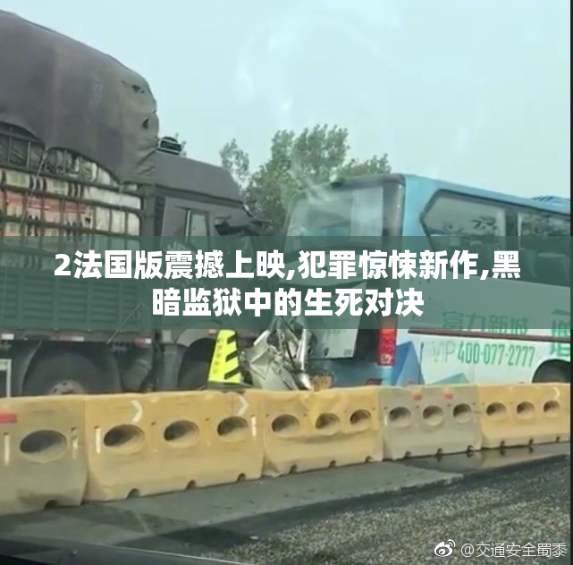 2法国版震撼上映,犯罪惊悚新作,黑暗监狱中的生死对决