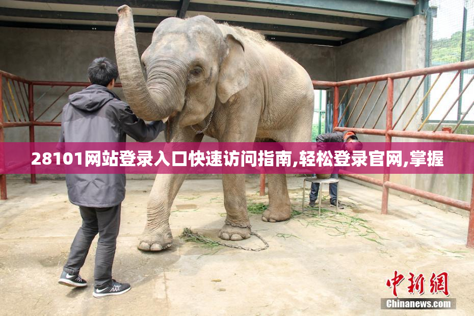 28101网站登录入口快速访问指南,轻松登录官网,掌握