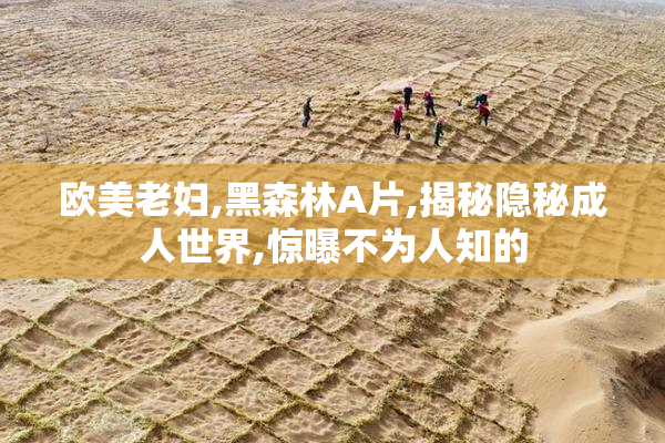 欧美老妇,黑森林A片,揭秘隐秘成人世界,惊曝不为人知的