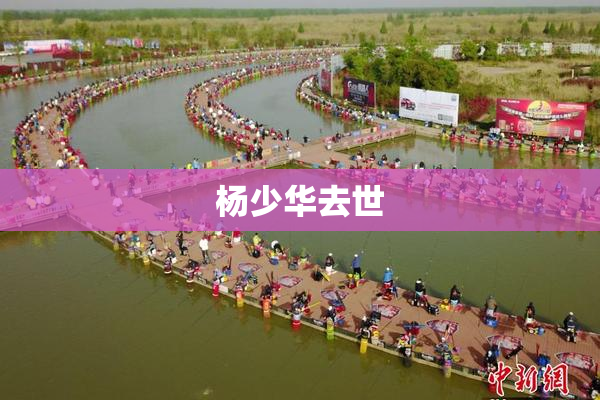 杨少华去世