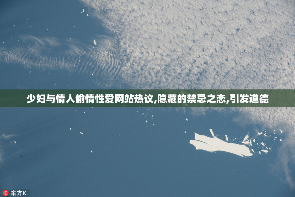 少妇与情人偷情性爱网站热议,隐藏的禁忌之恋,引发道德