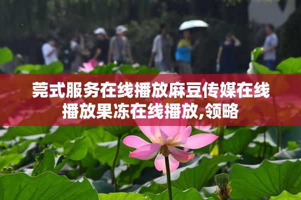 莞式服务在线播放麻豆传媒在线播放果冻在线播放,领略