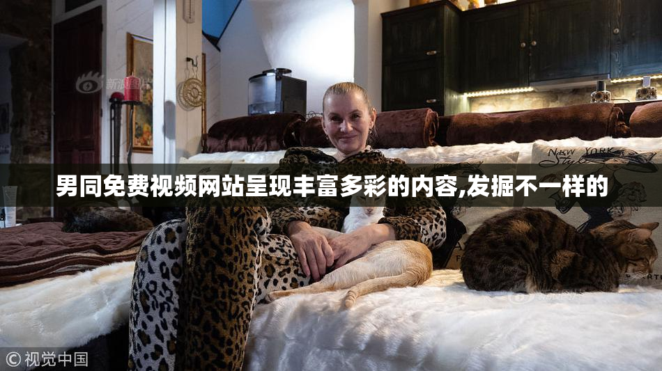 男同免费视频网站呈现丰富多彩的内容,发掘不一样的