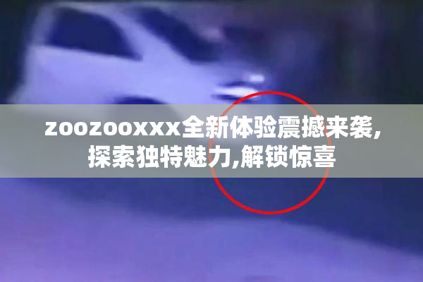zoozooxxx全新体验震撼来袭,探索独特魅力,解锁惊喜