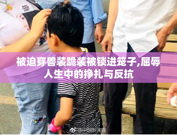 被迫穿兽装跪装被锁进笼子,屈辱人生中的挣扎与反抗