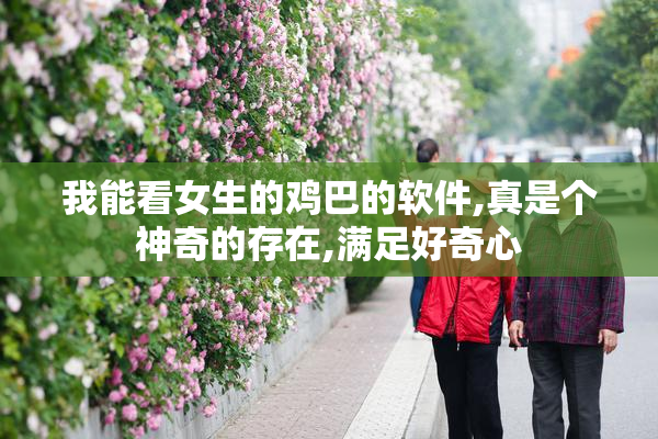 我能看女生的鸡巴的软件,真是个神奇的存在,满足好奇心