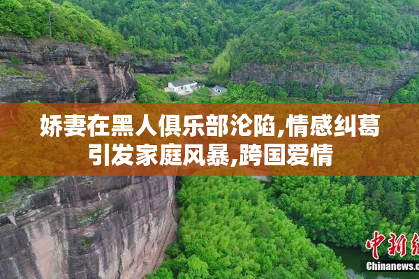 娇妻在黑人俱乐部沦陷,情感纠葛引发家庭风暴,跨国爱情