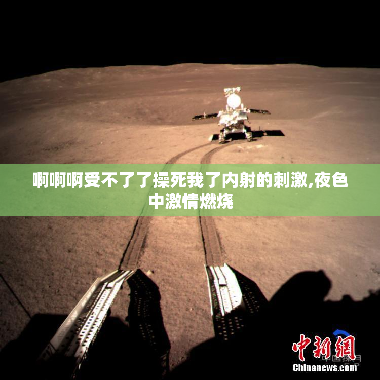 啊啊啊受不了了操死我了内射的刺激,夜色中激情燃烧