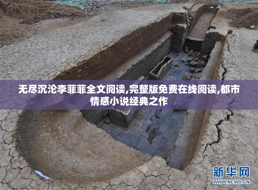 无尽沉沦李菲菲全文阅读,完整版免费在线阅读,都市情感小说经典之作