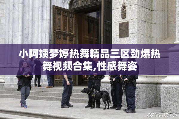 小阿姨梦婷热舞精品三区劲爆热舞视频合集,性感舞姿