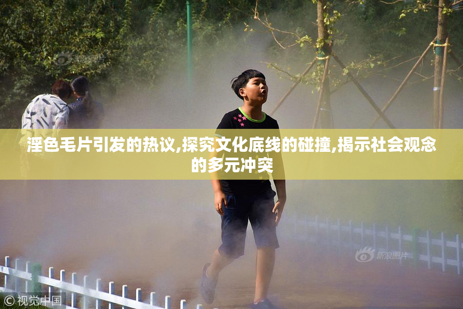 淫色毛片引发的热议,探究文化底线的碰撞,揭示社会观念的多元冲突