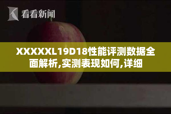 XXXXXL19D18性能评测数据全面解析,实测表现如何,详细