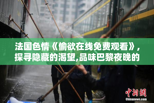 法国色情《偷欲在线免费观看》,探寻隐藏的渴望,品味巴黎夜晚的