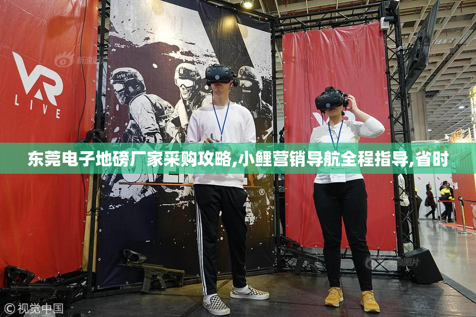 东莞电子地磅厂家采购攻略,小鲤营销导航全程指导,省时