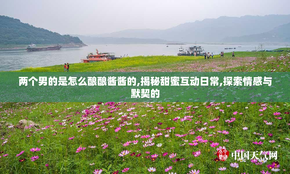 两个男的是怎么酿酿酱酱的,揭秘甜蜜互动日常,探索情感与默契的