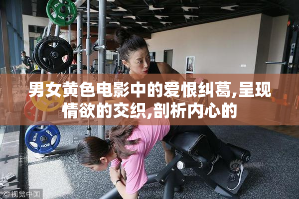 男女黄色电影中的爱恨纠葛,呈现情欲的交织,剖析内心的