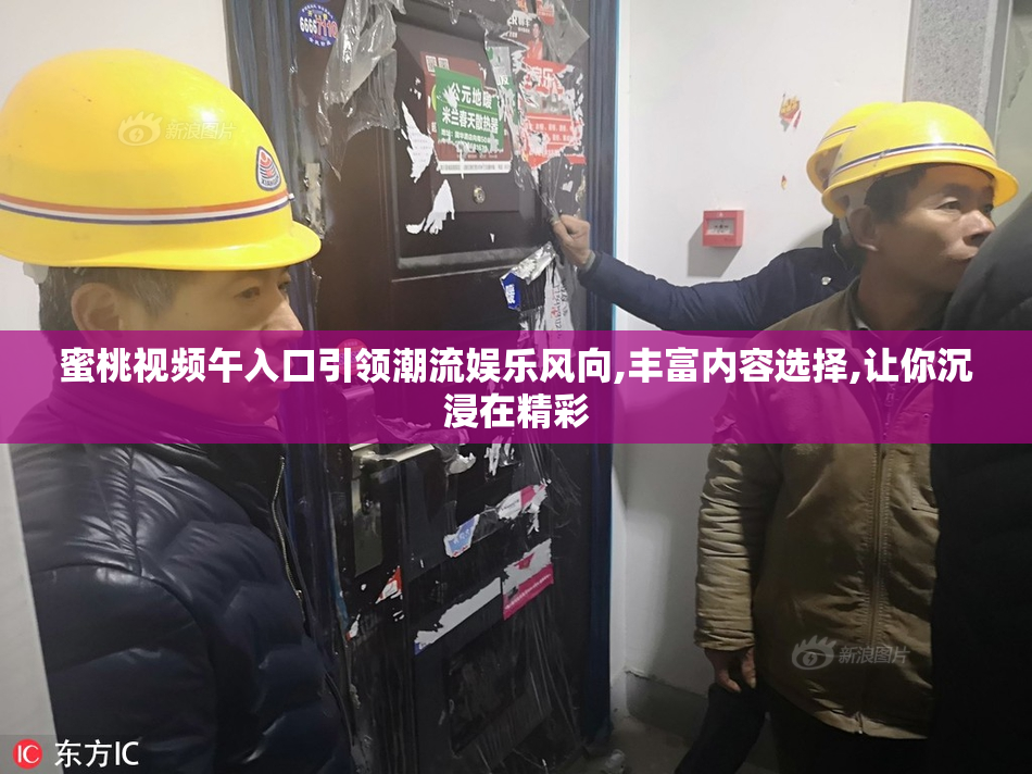 蜜桃视频午入口引领潮流娱乐风向,丰富内容选择,让你沉浸在精彩