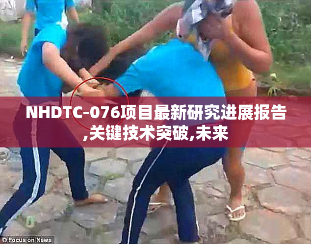 NHDTC-076项目最新研究进展报告,关键技术突破,未来