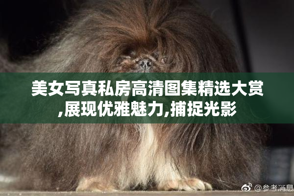 美女写真私房高清图集精选大赏,展现优雅魅力,捕捉光影