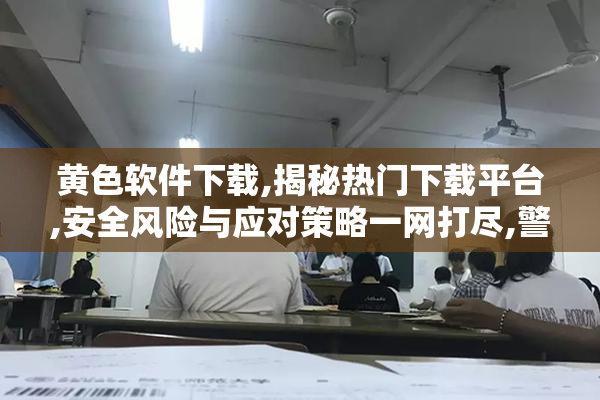 黄色软件下载,揭秘热门下载平台,安全风险与应对策略一网打尽,警惕