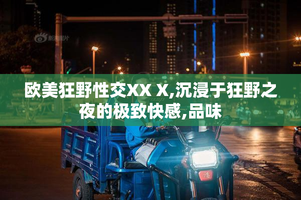 欧美狂野性交XX X,沉浸于狂野之夜的极致快感,品味