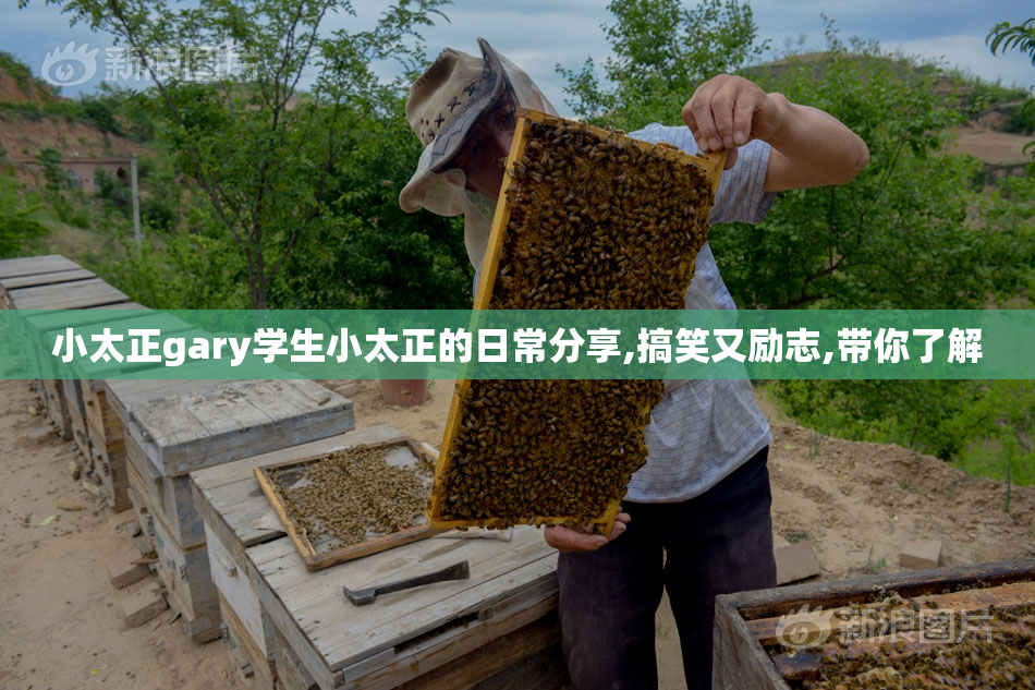 小太正gary学生小太正的日常分享,搞笑又励志,带你了解
