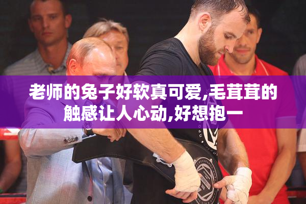 老师的兔子好软真可爱,毛茸茸的触感让人心动,好想抱一