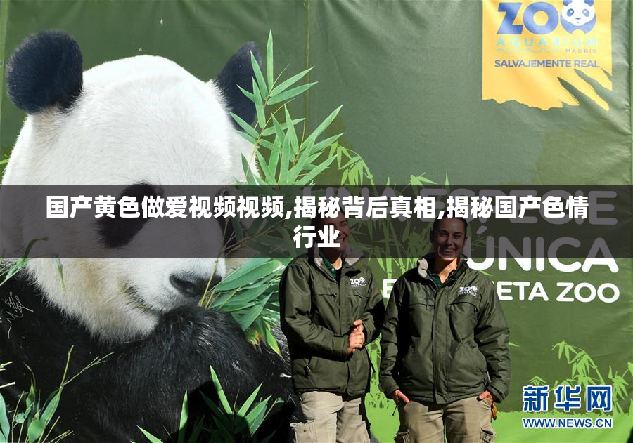 国产黄色做爱视频视频,揭秘背后真相,揭秘国产色情行业